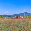 청솔농원 이미지