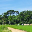 대부도 파란하늘 이미지