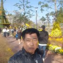 국화공원 이미지