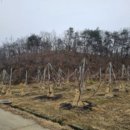 산업로4(동) 이미지