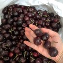 영풍상회 이미지