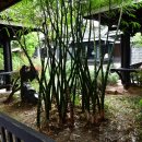 도원산장 이미지