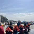 장봉자식당 | 경상북도 울진/여행/후포항 대게 맛집