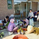 영남화분