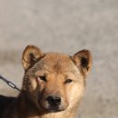 금동축산 이미지