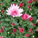 웰부동산중개사무소 이미지