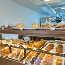 브레드82 | 제주 중문빵집 빵지순례 : 핑거스브레드, 빵순이가 인정한 찐 맛집 (내돈내산)