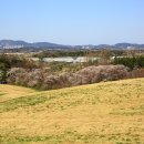 한우목장 이미지