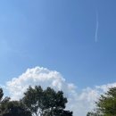 한마음카랜드 이미지