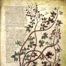 심야식탁 이미지