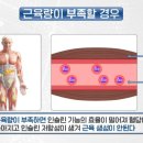 가디언 오브 갤럭시 PT 이미지