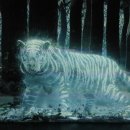 부동산아트공인중개사 이미지