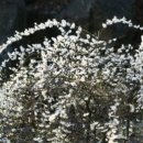 지곡경로당 이미지