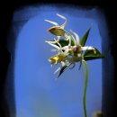 쪽빛하늘 이미지