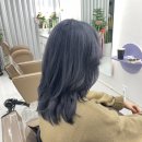 퍼플리살롱