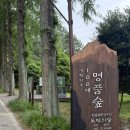 광주근교 데이트코스 추천 6월 나주 가볼만한곳 산림연구원