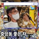 뚱이찻집
