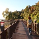 [5. 9 토요걷기] 봄날 하늘공원에서 한강변 따라 행주산성역사문화공원으로... 이미지