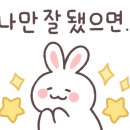 바르체바른체형운동