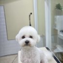 마음이네 멍발소 이미지