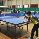 강릉초등학교 이미지