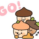 여주-0789 이미지