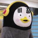 (주)단정바이오