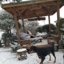 첫눈(fb에서 5년 前의 작성해 드린 글을 주셨군요. 감사합니다.) 이미지