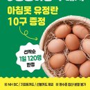 하나로 21 이미지