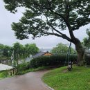강경-7 이미지