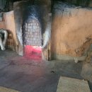 장흥참숯가마 이미지