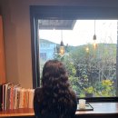 리케이온 이미지