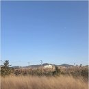 어울림펜션 네이버블로그