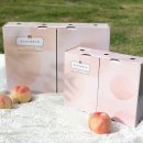 새뜸농장 | 납작복숭아도 왔어요! 취향저격 조치원복숭아