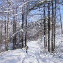 미인의 속살처럼 아름다운 비경의 폭포 ~ 삼척 미인폭포 (여래사, 통리협곡) 이미지