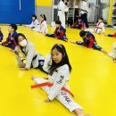 미래백호태권도장 이미지