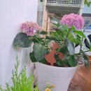 한 스틸 이미지