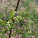 임해농장 이미지