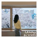 소도목련아파트 | 라퍼지포우먼 데일리니트가디건 구매후기 feat. 대구 봄꽃명소
