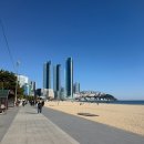 신화킹덤 | 2026년이라니!