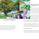 떡마을 이미지