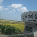 신송2리 Daum카페