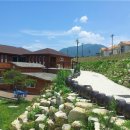 산야초황토마을 이미지