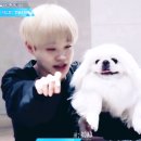 오늘의 개스트 티스토리