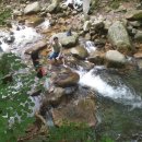 수락 농장 이미지