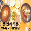 민속보쌈쑥밀면전문점 | 지곡동 맛집 민속가야밀면 쫄깃한 면발 시원한 육수 용인 민속촌 근처