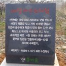 압해도 용마을 이미지