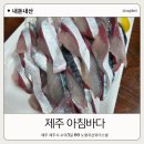 제주 시내 로컬 고등어회 맛집 아침바다
