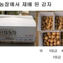 아람농장 이미지