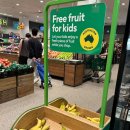 과일도시 이미지